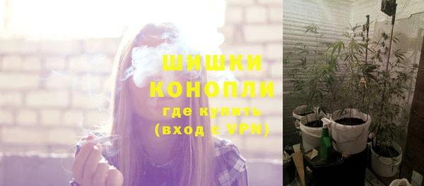 хмурый Горняк