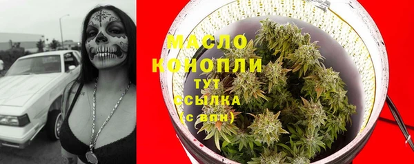 хмурый Горняк